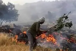 آتش سوزی گشترده در کوه‌های روستای «ماربره»/درخواست کمک از مدیریت بحران برای مهار آتش  